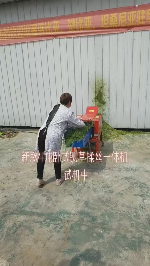 New Dual-purpose Hay Cutter Shredder Household Small Fodder Processing Machine 220V All Iron 4 Blades Wet Dry Grass Straw Crusher for Livestock Breeding